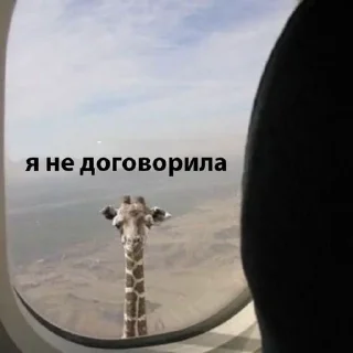 🦒