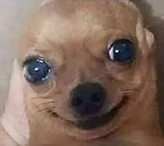 🙂