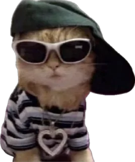😎