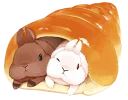 🐰