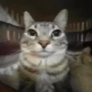 😐