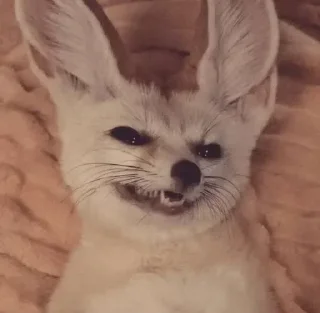 👿