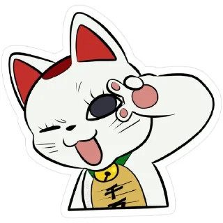 🐱
