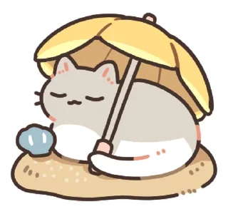 ⭐