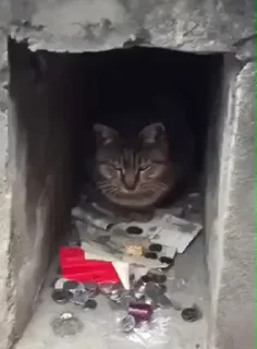 🤑