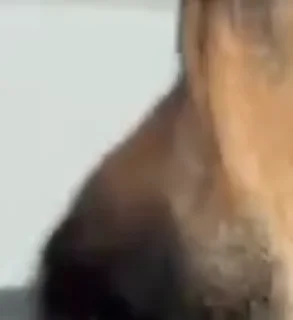 😳