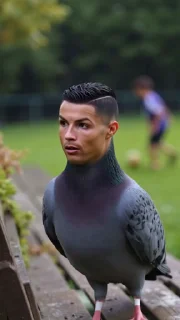 🤩