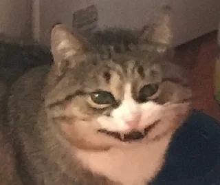 🤠