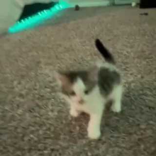 ☺