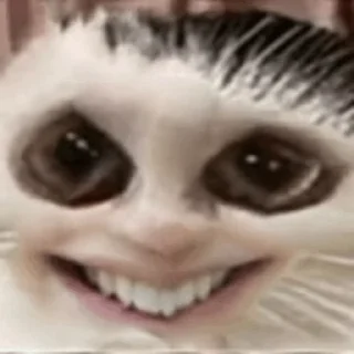 😂