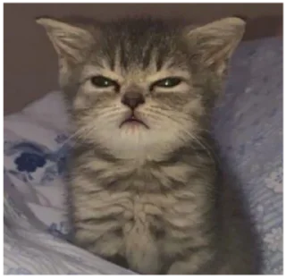 🤨