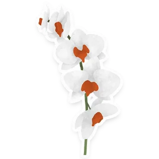 🌼