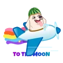 🚀