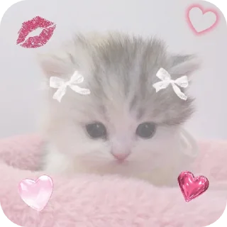 ❤