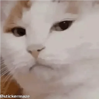 😐