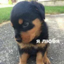 ❤