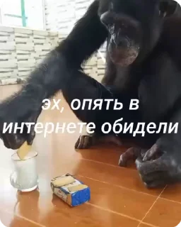 🌟