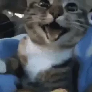 😁
