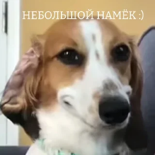 😏