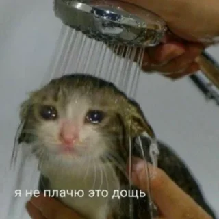 😭