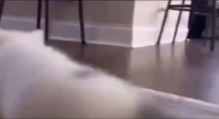 🤪