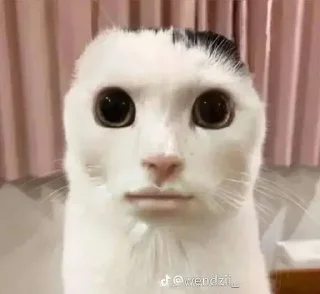 😐