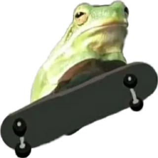 🛹