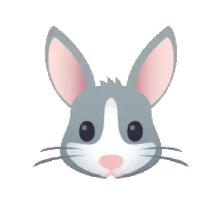 🐰