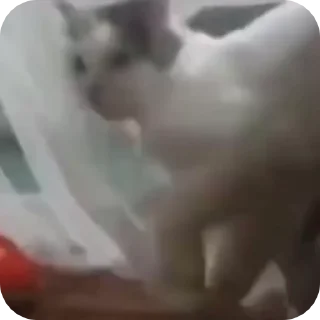 😧