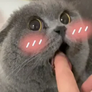 😳