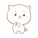 🐱