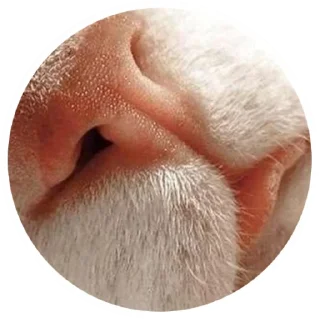 😍