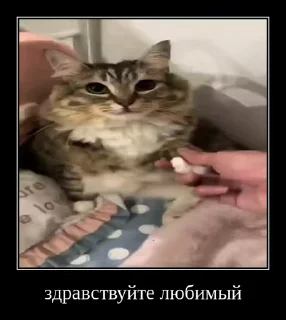 👋