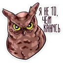 🦉