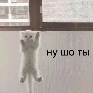 🙌