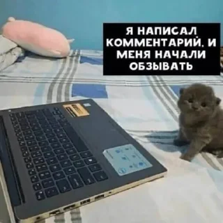 😭