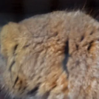 ❓