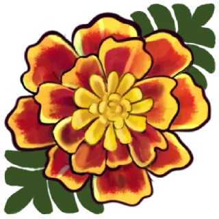 🌹
