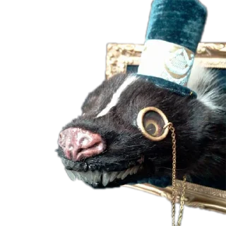 🎩