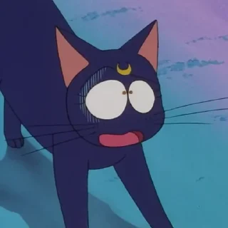 😨
