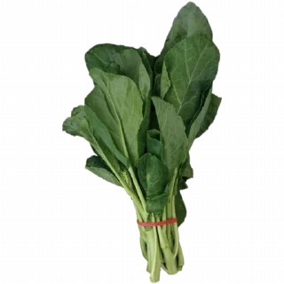 🥬
