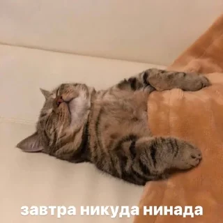 😏