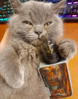 ☺️