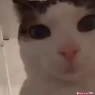 😐
