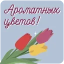 💐
