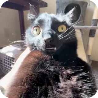 😬