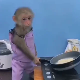 🍳