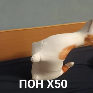 😶