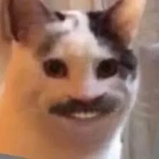 😄