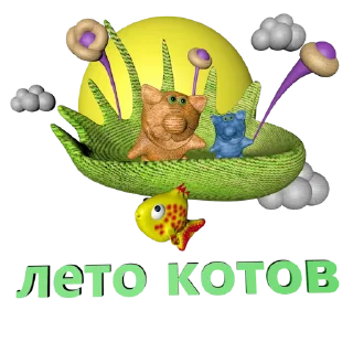 😺